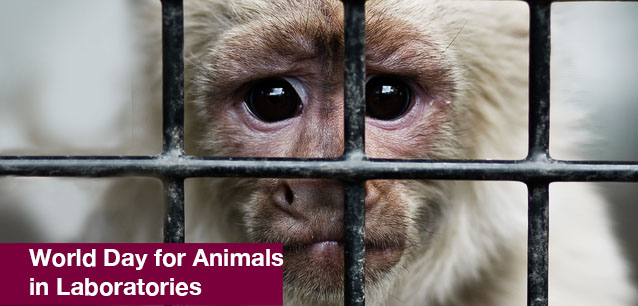 No image found World_Day_for_Animals_in_LaboratoriesE.png
