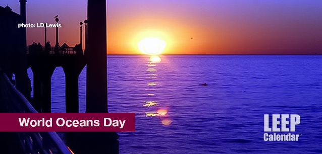 No image found World_Oceans_DayE.png