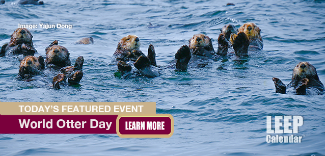 No Image found . This Image is about the event Otter Day, World: May 28. Click on the event name to see the event detail.