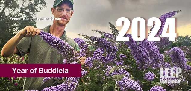 No image found Year_of_BuddleiaE.webp