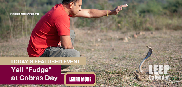 No Image found . This Image is about the event Yell "Fudge" at the Cobras in North America Day: June 2. Click on the event name to see the event detail.