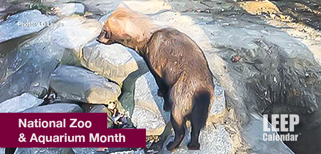 No image found Zoo_and_Aquarium_MonthE.png